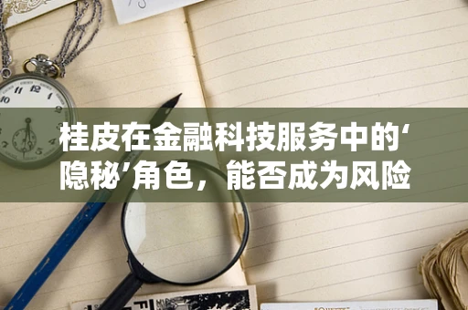 桂皮在金融科技服务中的‘隐秘’角色，能否成为风险控制的调味剂？