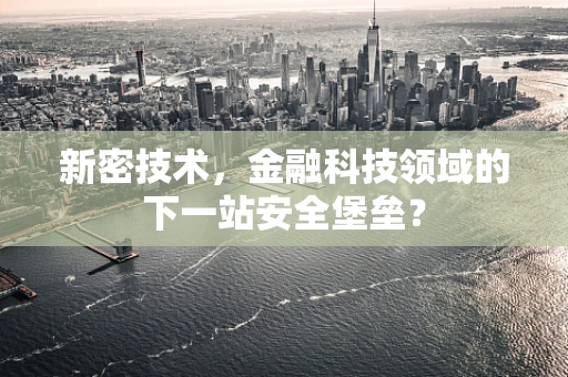 新密技术，金融科技领域的下一站安全堡垒？