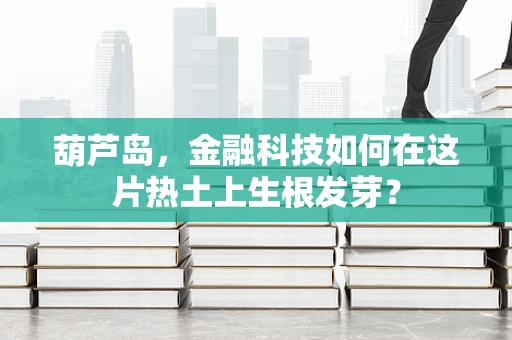 葫芦岛，金融科技如何在这片热土上生根发芽？