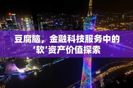 豆腐脑，金融科技服务中的‘软’资产价值探索