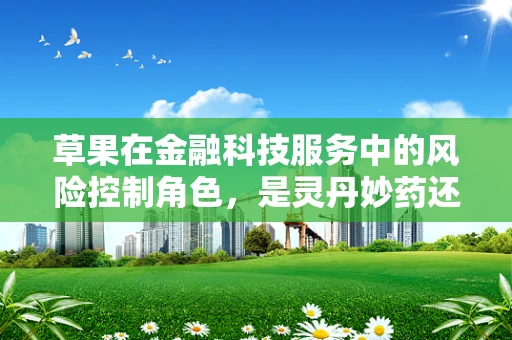 草果在金融科技服务中的风险控制角色，是灵丹妙药还是双刃剑？