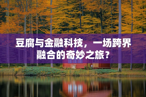 豆腐与金融科技，一场跨界融合的奇妙之旅？