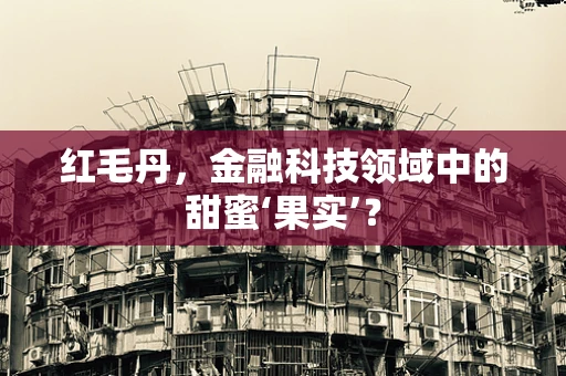 红毛丹，金融科技领域中的甜蜜‘果实’？