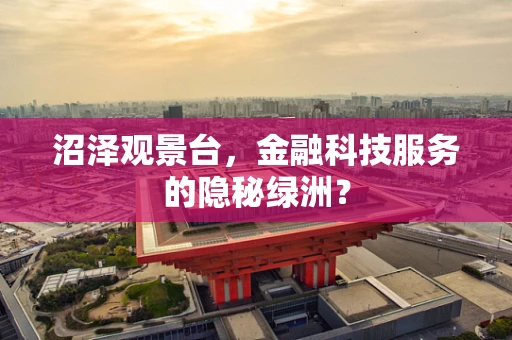沼泽观景台，金融科技服务的隐秘绿洲？