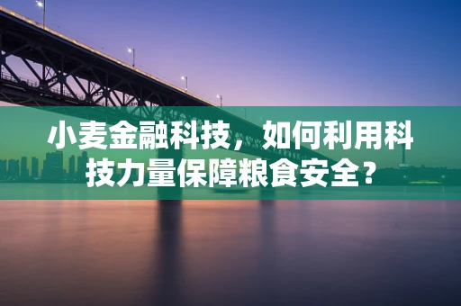 小麦金融科技，如何利用科技力量保障粮食安全？