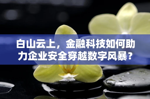 白山云上，金融科技如何助力企业安全穿越数字风暴？