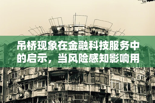 吊桥现象在金融科技服务中的启示，当风险感知影响用户决策
