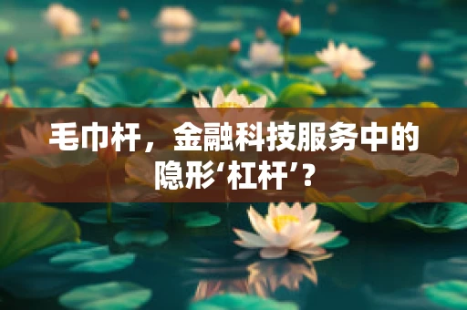 毛巾杆，金融科技服务中的隐形‘杠杆’？