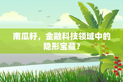 南瓜籽，金融科技领域中的隐形宝藏？
