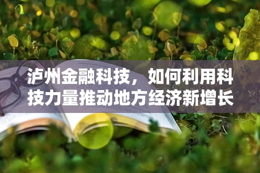泸州金融科技，如何利用科技力量推动地方经济新增长？