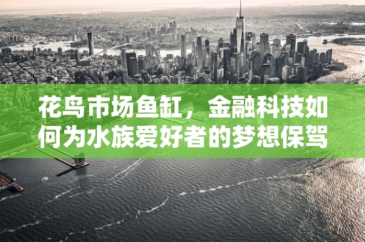 花鸟市场鱼缸，金融科技如何为水族爱好者的梦想保驾护航？