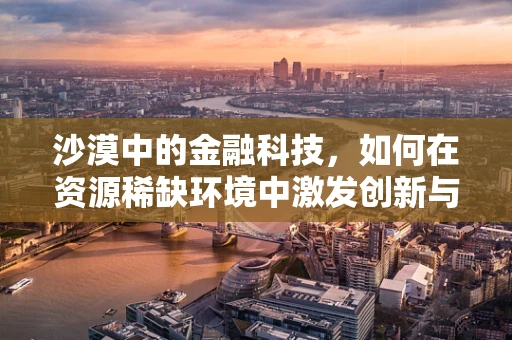 沙漠中的金融科技，如何在资源稀缺环境中激发创新与可持续发展？