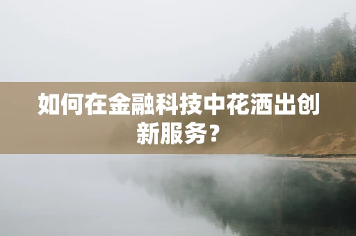 如何在金融科技中花洒出创新服务？