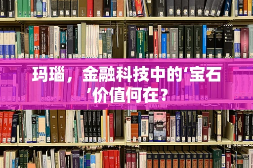 玛瑙，金融科技中的‘宝石’价值何在？