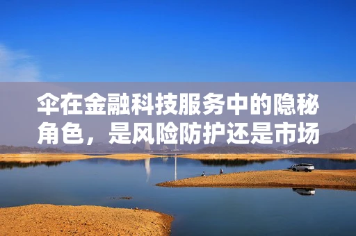 伞在金融科技服务中的隐秘角色，是风险防护还是市场遮阳？