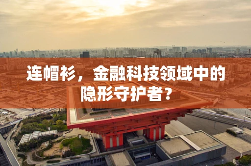 连帽衫，金融科技领域中的隐形守护者？