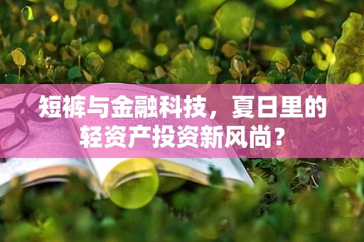 短裤与金融科技，夏日里的轻资产投资新风尚？