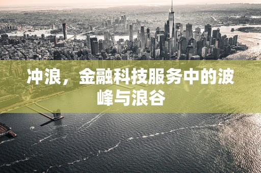 冲浪，金融科技服务中的波峰与浪谷