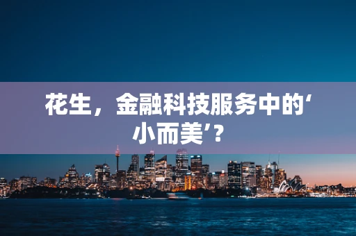 花生，金融科技服务中的‘小而美’？