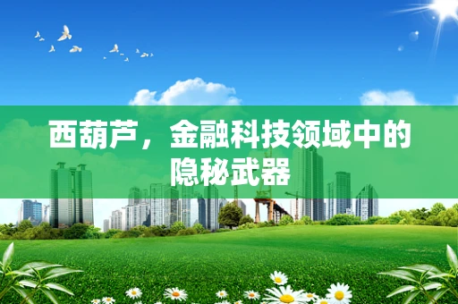 西葫芦，金融科技领域中的隐秘武器