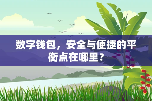 数字钱包，安全与便捷的平衡点在哪里？