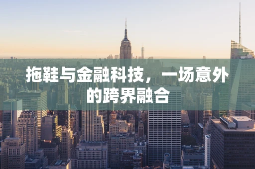 拖鞋与金融科技，一场意外的跨界融合