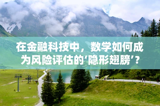 在金融科技中，数学如何成为风险评估的‘隐形翅膀’？