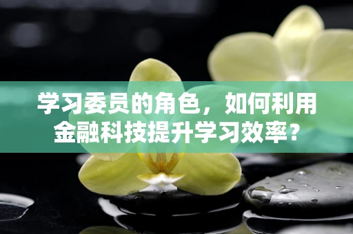 学习委员的角色，如何利用金融科技提升学习效率？