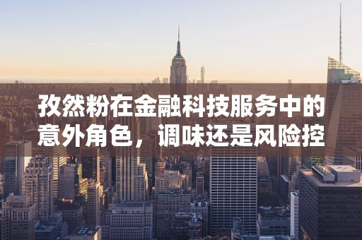 孜然粉在金融科技服务中的意外角色，调味还是风险控制？