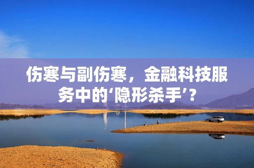 伤寒与副伤寒，金融科技服务中的‘隐形杀手’？