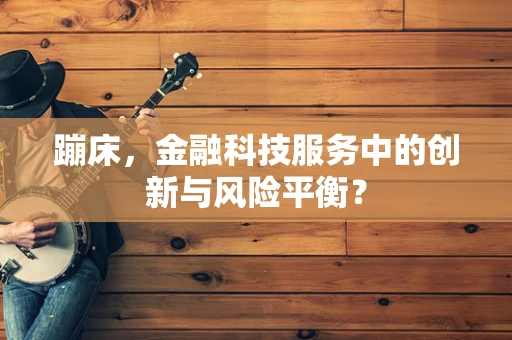 蹦床，金融科技服务中的创新与风险平衡？