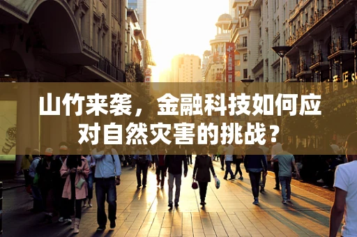山竹来袭，金融科技如何应对自然灾害的挑战？