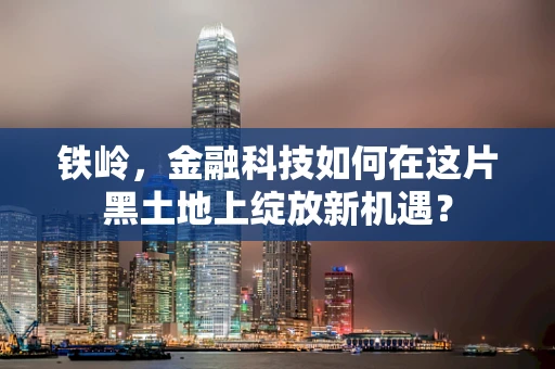 铁岭，金融科技如何在这片黑土地上绽放新机遇？
