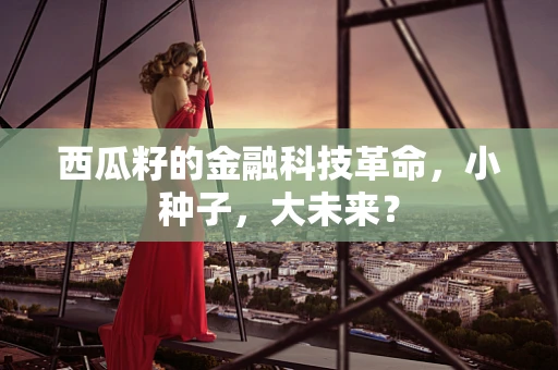 西瓜籽的金融科技革命，小种子，大未来？