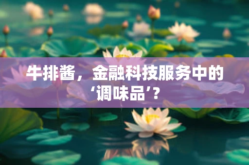 牛排酱，金融科技服务中的‘调味品’？