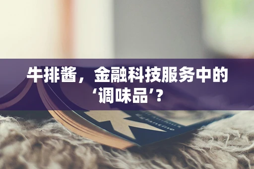 牛排酱，金融科技服务中的‘调味品’？