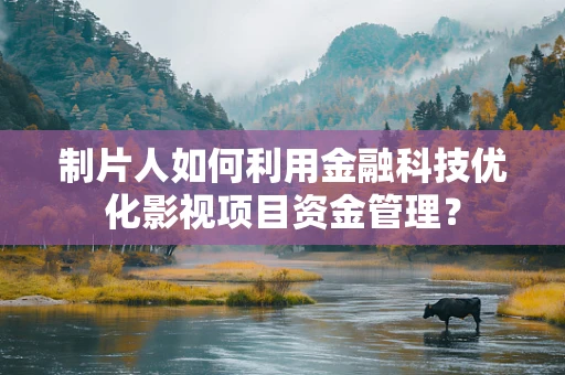 制片人如何利用金融科技优化影视项目资金管理？