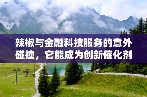 辣椒与金融科技服务的意外碰撞，它能成为创新催化剂吗？