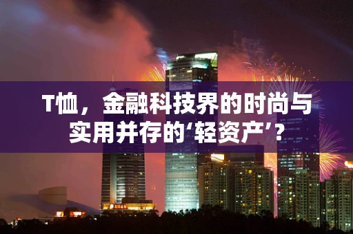 T恤，金融科技界的时尚与实用并存的‘轻资产’？