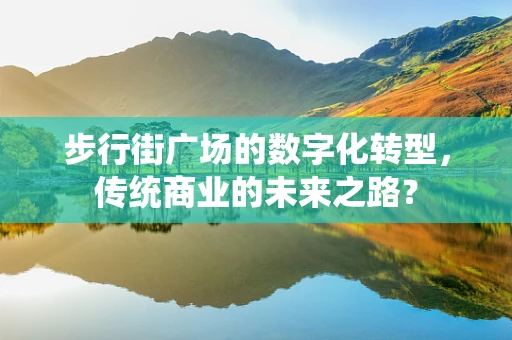 步行街广场的数字化转型，传统商业的未来之路？