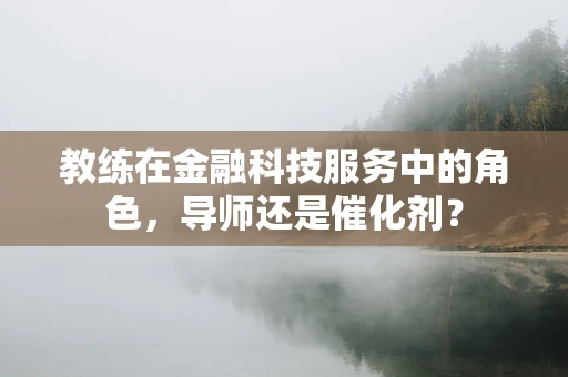 教练在金融科技服务中的角色，导师还是催化剂？