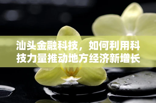汕头金融科技，如何利用科技力量推动地方经济新增长？