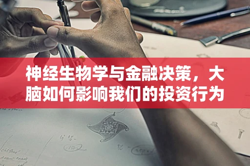 神经生物学与金融决策，大脑如何影响我们的投资行为？