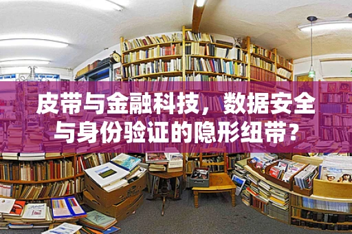 皮带与金融科技，数据安全与身份验证的隐形纽带？