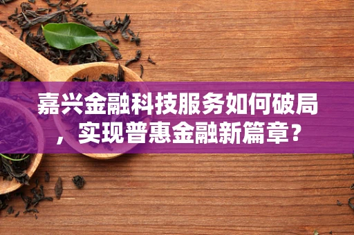 嘉兴金融科技服务如何破局，实现普惠金融新篇章？