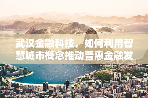 武汉金融科技，如何利用智慧城市概念推动普惠金融发展？
