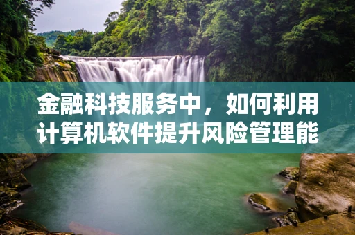 金融科技服务中，如何利用计算机软件提升风险管理能力？