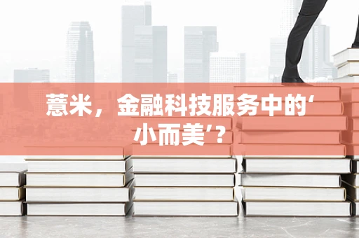 薏米，金融科技服务中的‘小而美’？