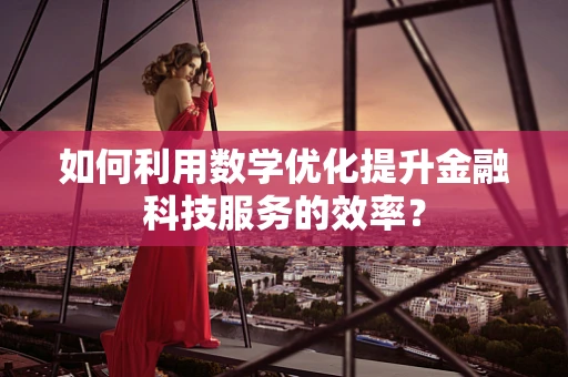 如何利用数学优化提升金融科技服务的效率？