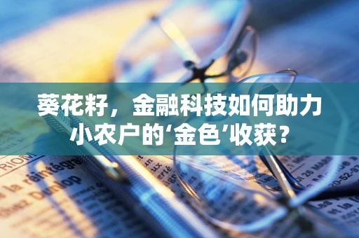 葵花籽，金融科技如何助力小农户的‘金色’收获？